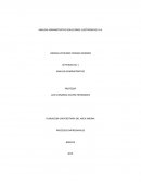 ANALISIS ADMINISTRATIVO SOLUCIONES ELECTRONICAS S.A.S