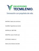 Cadena de suministro evidencia 1