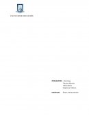 Ensayo PEI EDUCATIVO