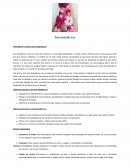 Creacion de una empresa Ame Sweet&Love