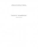 CONCEPTOS FUNDAMENTALES. OPINIÓN PÚBLICA