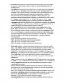 La historia de la neurociencia