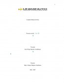 Proyecto erradicación de basuras