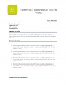 Descripcion de puestos Ventas