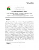 REACCIONES DE ALDEHÍDOS Y CETONAS