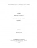 RECURSOS ORDINARIOS EN EL DERECHO PROCESAL LABORAL