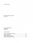 Informe De Inducción. Conceptos sobre la especialidad