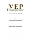 CONSENTIMIENTO INFORMADO CLINICA VETERINARIA ‘VEP