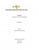 IMPORTANCIA DE LOS PROCESOS COGNITIVOS SUPERIORES EN EL COMPORTAMIENTO HUMANO