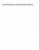 Artrópodos de importancia médica