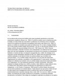 PROBLEMAS LABORALES POR FAMILIAS PROBLEMATICAS