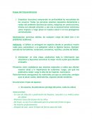 Etapas del Emprendimiento