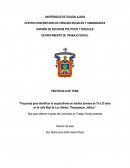 Propuesta para identificar la esquizofrenia en adultos jóvenes de 18 a 25 años en la calle Real de Los Abetos, Tlaquepaque, Jalisco