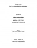 PROYECTO GRUPAL HABILIDADES GERENCIALES