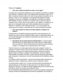 Lípidos y Carbohidratos