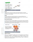 PROYECTO DE RRHH Empresa INHMESA