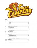 Presentacion 1 Pollo Campero