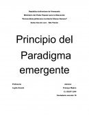 Principios de paradigma emergente