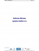 Informe Micmac quesos andino s.a