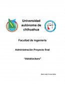 Administración Proyecto final “Adoblockera”