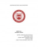 GRUPO LALA. NUTRIENDO A MEXICO