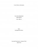 Algebra lineal. Vectores, matrices y determinantes