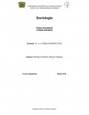Sociología Avance de proyecto (Trabajo individual)