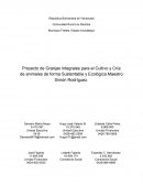 Minirpoyecto de siembra de Maíz, Yuca y Frijol