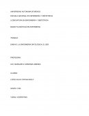 LA ENFERMERÍA ONTOLÓGICA: EL SER