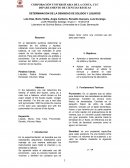 DETERMINACION DE LA DENSIDAD DE SOLIDOS Y LIQUIDOS