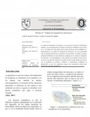 Quimca Reporte de Laboratorio Practica 4