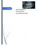 ¿Menciona cuáles son los aspectos más relevantes del teorema fundamental?