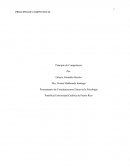 Principio de Competencia