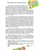 Didáctica educación infantil