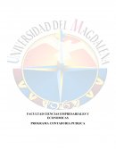 PLAN DE ACCION. Importancia y la falta de la catedra ética en las universidades de Santa Marta