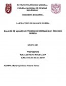 BALANCE DE MASA EN UN PROCESO DE MEZCLADO SIN REACCIÓN QUÍMICA