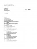 MATRIZ DE CONSTRUCCION DE LA VISION