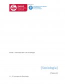 Introducción a la sociología