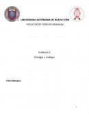 ENERGIA FISICA BIOLOGICA
