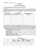 ESTRUCTURA Nº1 PERFIL DEL PLAN DE NEGOCIOS