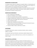 Descubriendo la Edad Media: Actividad Didáctica para 5º de Primaria