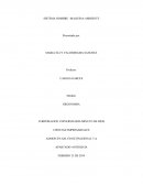 SISTEMA HOMBRE –MAQUINA-AMBIENTE