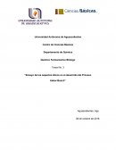 Tarea No. 3 “Ensayo de los aspectos éticos en el desarrollo del Proceso Haber-Bosch”