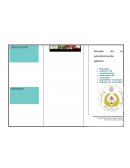 Legislacion y organos