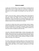 Crónica de un gigoló