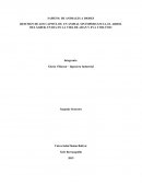 RESUMEN. SAPIENS: DE ANIMALES A DIOSES