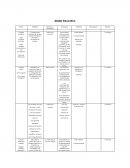 Taller del lóbulo temporal