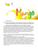 Mejoramiento de la productividad en el sector industrial, con la creación y comercialización de un producto natural elaborado de un fruto silvestre típico, del municipio de Valledupar-Cesar