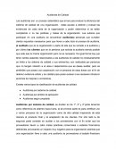 Auditoria de calidad