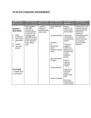 PLAN DE CUIDADOS ENFERMEROS